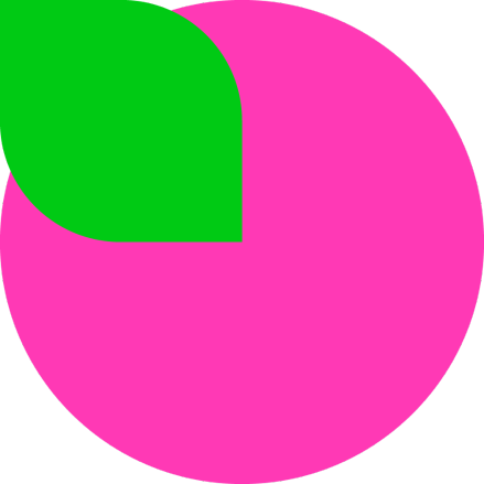 Pink Fruit Image