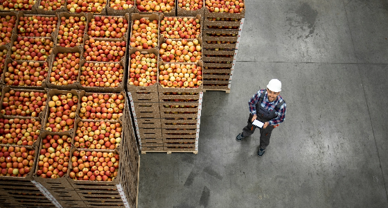 360 Postharvest service