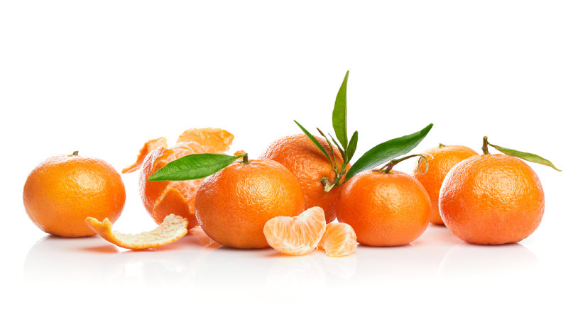 Do you know about the sooty mold problem of citrus?