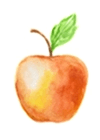 Apple Fruit Image