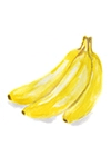 Banana Fruit Image