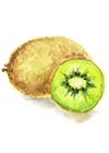 Kiwi Fruit Image