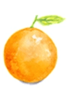 Orange Fruit Image