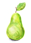 Pear Fruit Image