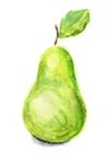 Pear Fruit Image