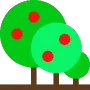 Near Harvest